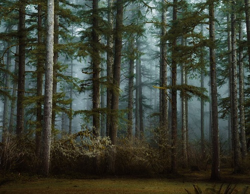 Gallery Of Photography By Paige Tingey - Peru