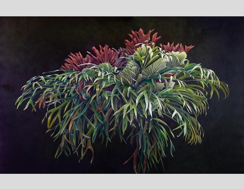 Gallery Of Visual Art By Carlo Batistella - Brazil