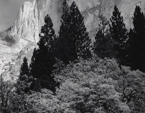 Gallery Of Photography By Ansel Adams - USA