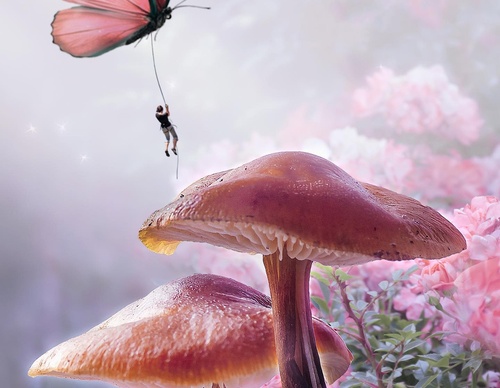 Galería De Ilustración De Luisa Azevedo - Portugal