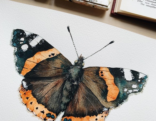 Gallery Of Painting By Rita Gould - United Kingdom