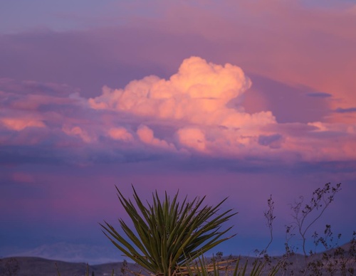 Gallery Of Photography By Keith Ladzinski - Brazil