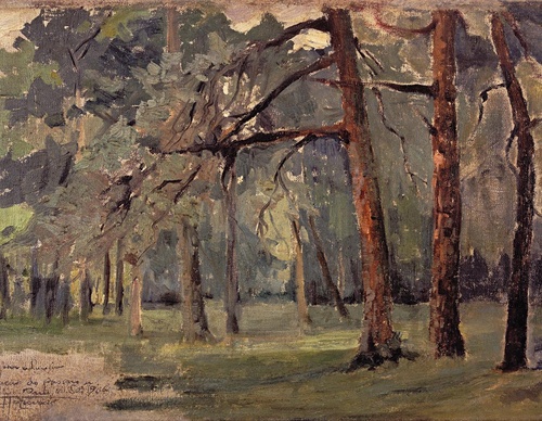 Galeria de Pinturas de Antônio Parreiras-Brasil
