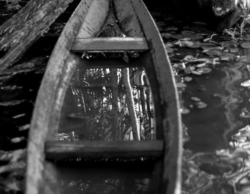 Gallery Of Photography By João Roberto Ripper - Brazil