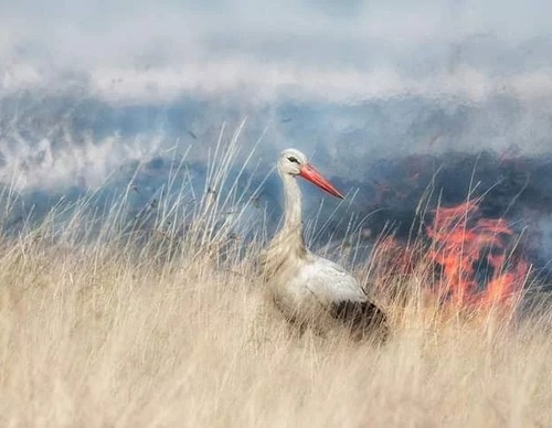 Gallery Of Photography By Marco Gaiotti - Brazil