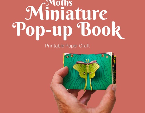 Gallery of Artistic book and sketch Book