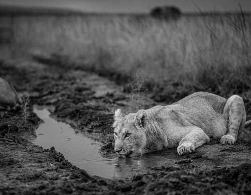 Gallery Of Photography By Fernando Faciole - Brazil