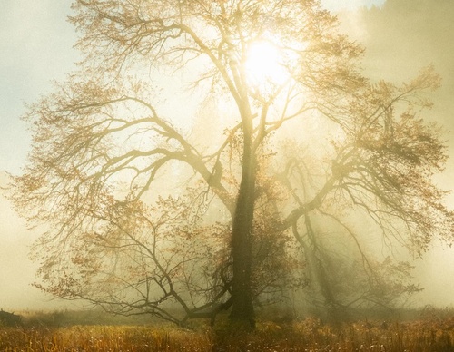 Galeria de fotografias de Tyler Glass - EUA