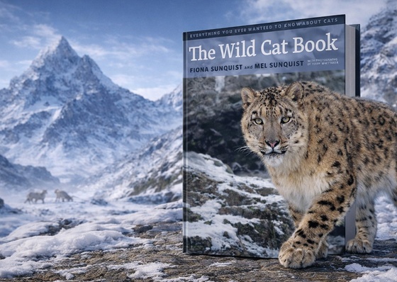 El Libro de los Gatos Salvajes | Con fotografías de Terry Wittaker