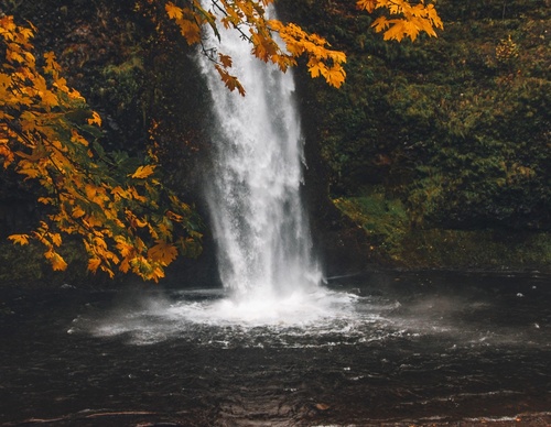 Galería de fotografías de Jared - Canadá