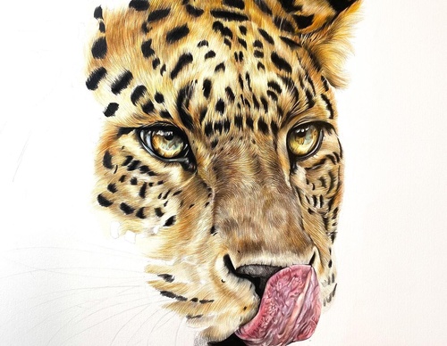 Gallery Of Realistic Painting By Rebecca Neundorf - Germany