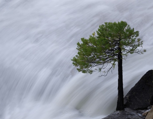Galería de fotografía de Greg Boratyn - Argentina