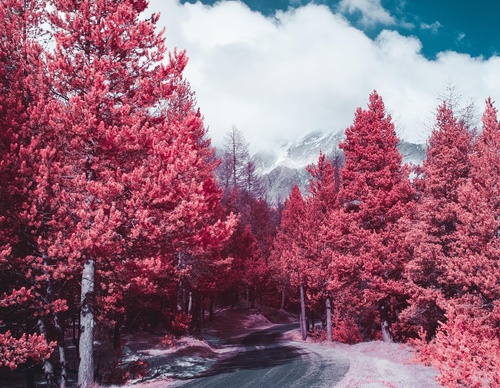 Gallery Of Photography By Paolo Pettigiani - Italy