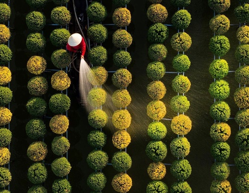 Gallery of Photography by Tran Tuan Viet - Vietnam