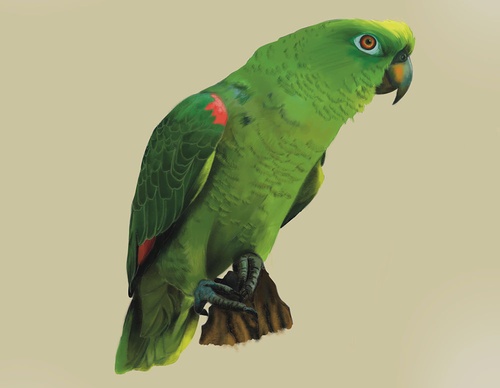 julieth jimenez