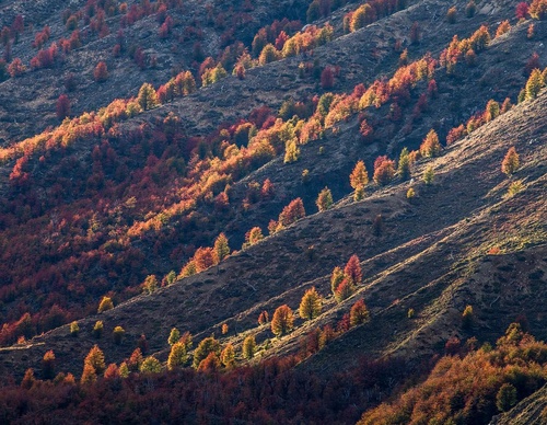 Galería de fotografía de Christian Aguirre Duffourc - Chile