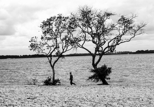Galería De Fotografía De Luis Médici - Argentina