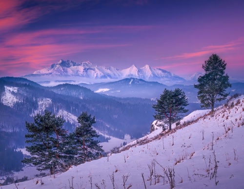 Gallery Of Photography By Samuel Lesko - Slovakia