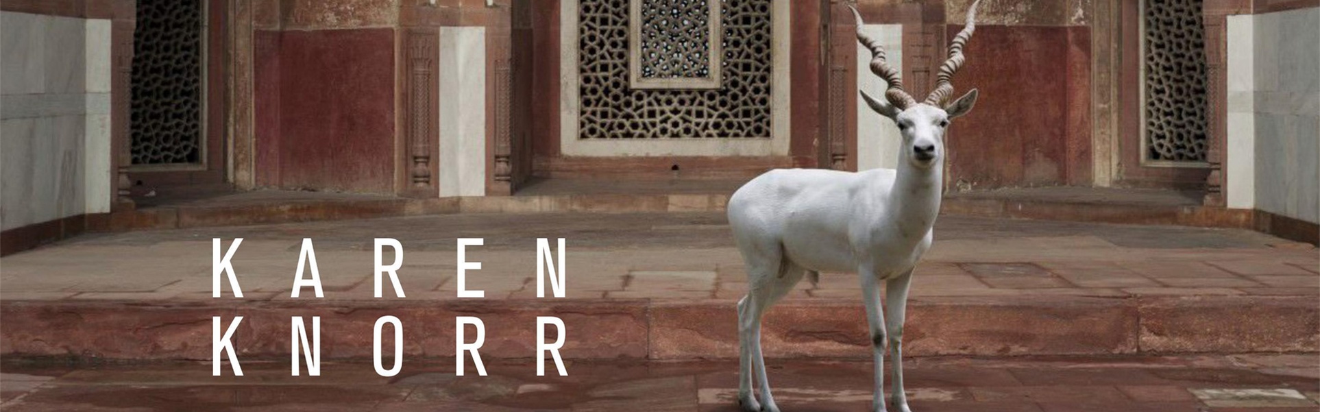 Karen Knorr | Transmigrations
