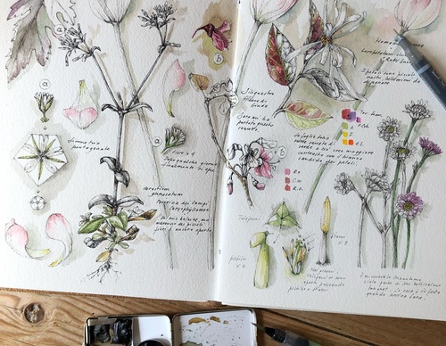 Gallery of Drawing by GiacoMina Ferrillo-Italy