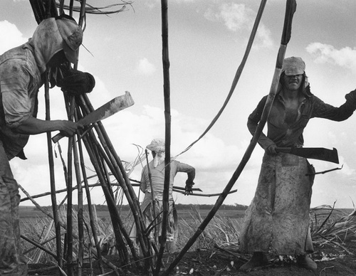 Galeria de Fotografia de Sebastião Salgado-Brasil