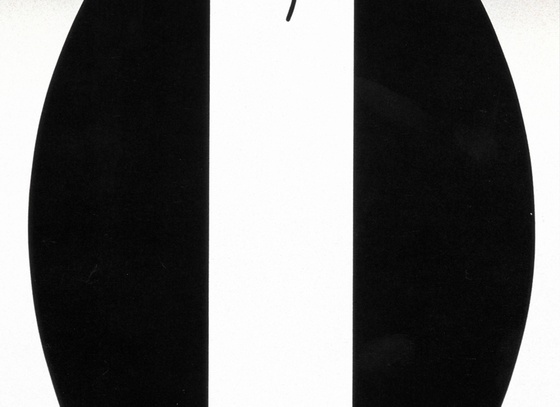 Shigeo Fukuda