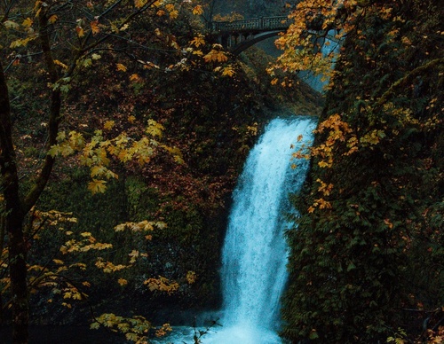 Galería de fotografías de Jared - Canadá