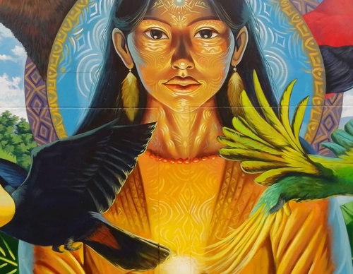 robin vela