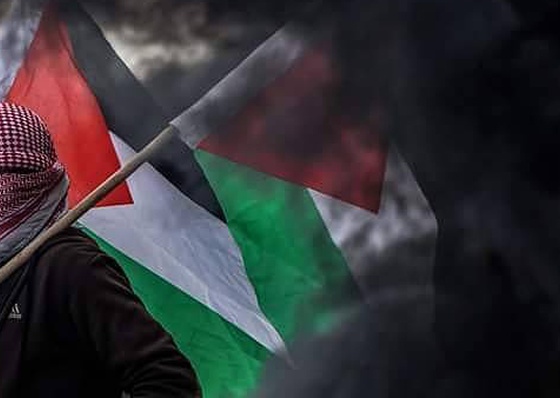 Galeria de Fotografia de Mohammed Dahman - Palestina