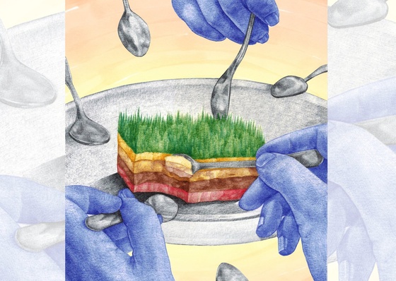 Galeria de ilustrações de Itziar Barrios - Espanha