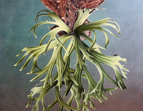 Gallery Of Visual Art By Carlo Batistella - Brazil