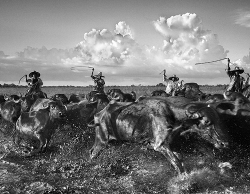 Galería de fotografía de Araquém Alcântara - Brasil
