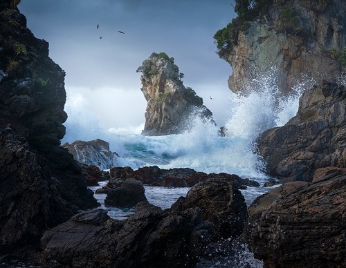 Galeria de fotografias de William Patino - Nova Zelândia