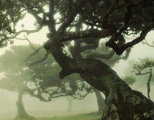Galería de fotografía de Jorge Reinaldo - Portugal
