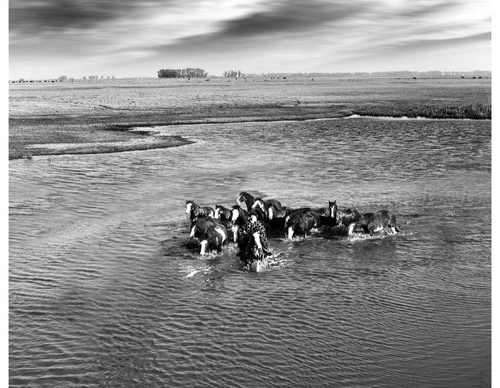 Gallery Of Photography By Diego Ortiz Mugica - Argentina