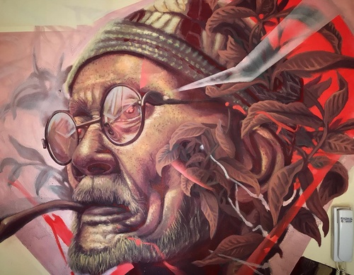 Gallery Of Street Art By Kiki - Brazil
