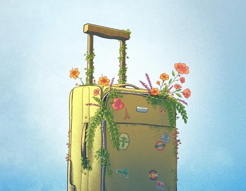 Galeria de ilustrações de Daniel Castro Maia Brasil
