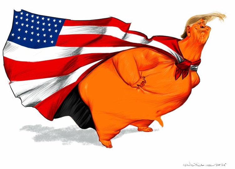 American Anatomy  A portrait of a nation revealed through the man who claims to represent it.