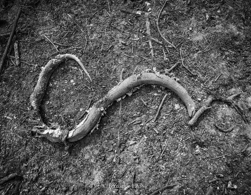Gallery Of Photography By Fernando Faciole - Brazil