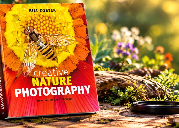 Creative Nature Photography