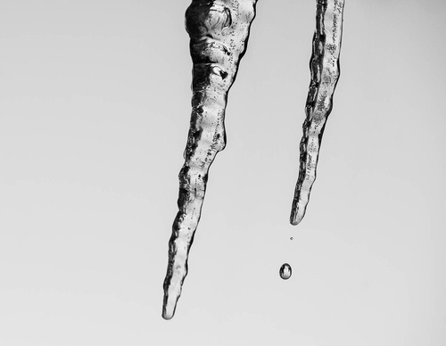 Galería de fotografía de Patricio Rodríguez - Argentina