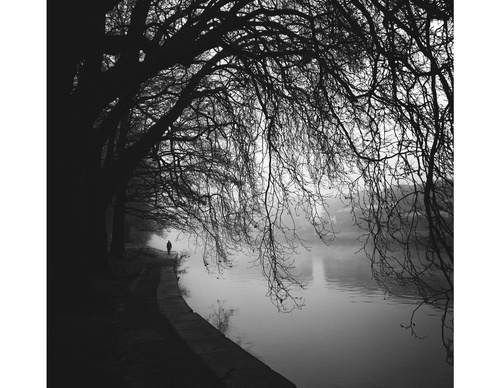 Galeria de fotografia de Ovidiu Șelaru - Romênia
