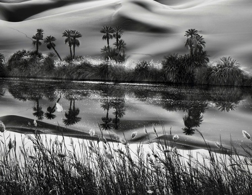 Galería de fotografía de Sebastião Salgado - Brasil