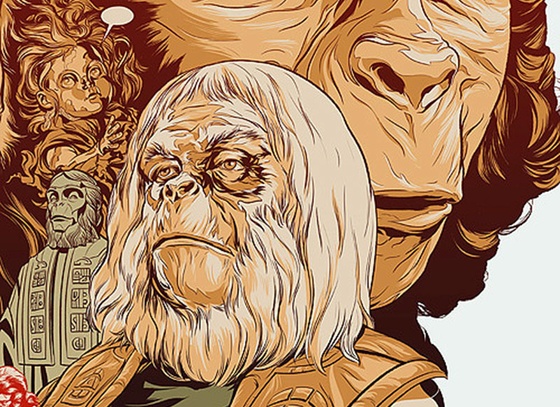 Martin Ansin