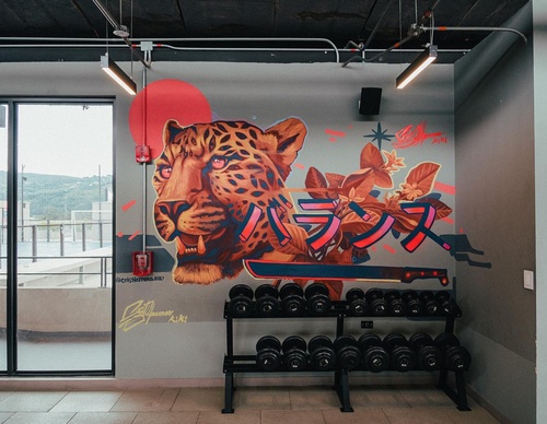 Gallery Of Street Art By Kiki - Brazil