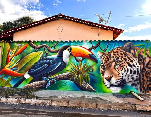 Gallery Of Street Art By Fábio Gomes Trindade - Brazil