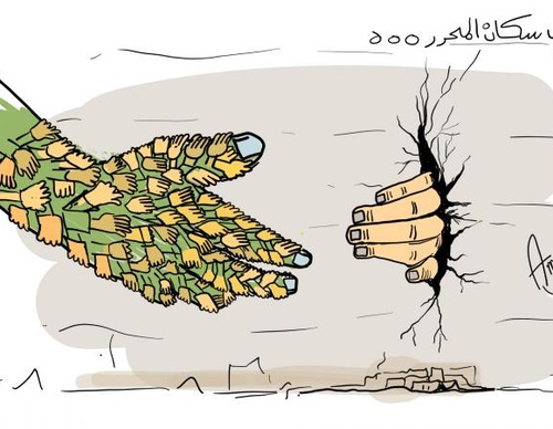 amany alali