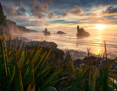 Galeria de fotografias de William Patino - Nova Zelândia