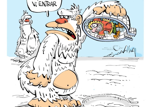 leoariastozzini