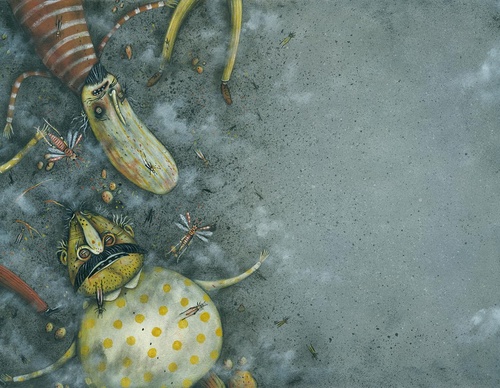 Galeria de Ilustração de Mohsen Mirzaei - Irã
